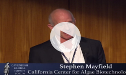 Food and Fuel for the 21st Century—Algae and the Green Revolution 2.0 with Stephen Mayfield