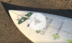 A Growing Passion - Algae Foam Surfboard