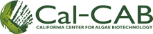 The California Center for Algae Biotechnology (Cal-CAB) 