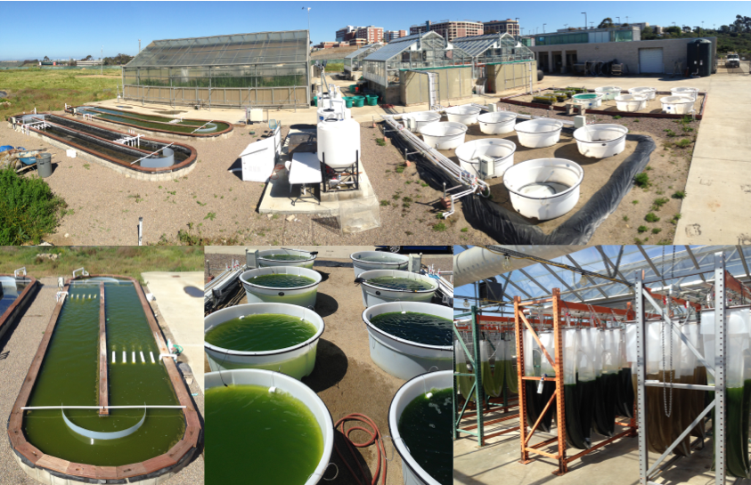 The California Center for Algae Biotechnology Facilities