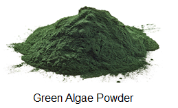 green algae powder